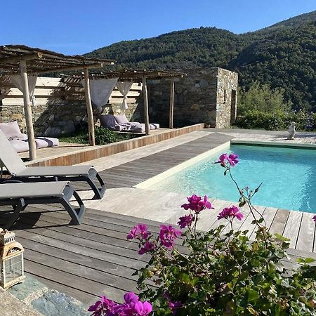 Chambres D'Hotes Et Studios De Charme - A Mandria Murato 外观 照片