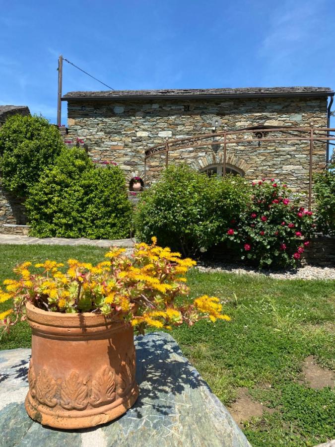 Chambres D'Hotes Et Studios De Charme - A Mandria Murato 外观 照片