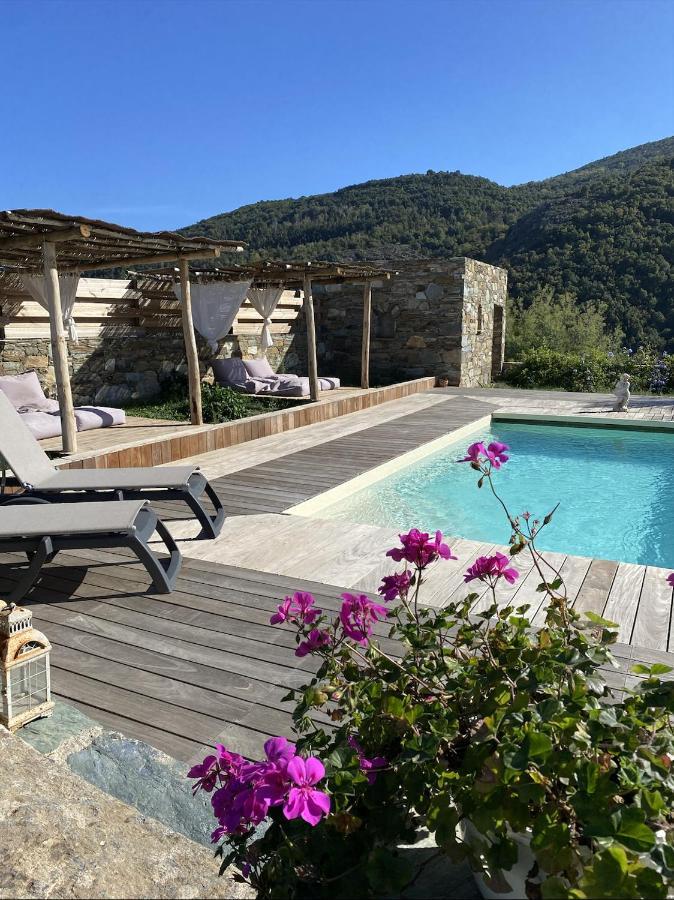 Chambres D'Hotes Et Studios De Charme - A Mandria Murato 外观 照片